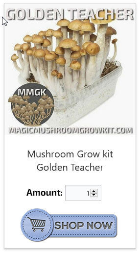 buy magic mushroom grow kits online